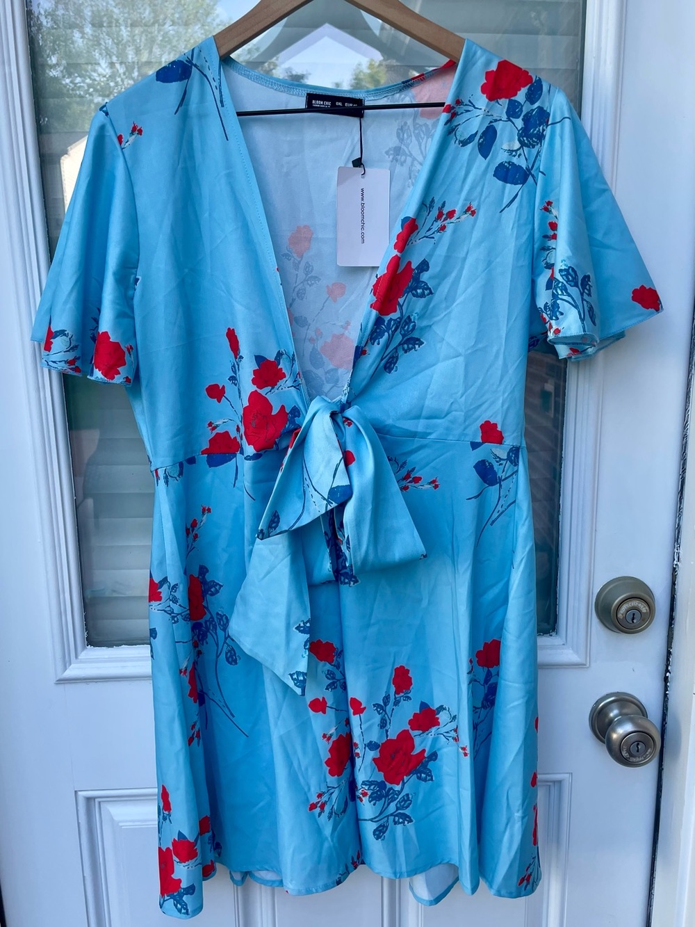 BloomChic Sky Blue Mini Dress with Red Floral Print